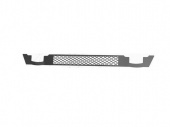 Решетка бампера AISI 304 зерк. IVECO T270001N1 ТСП