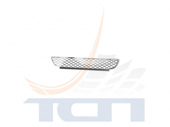 Решетка бампера нижняя AISI 304 зерк. IVECO T270001N3 ТСП - 2